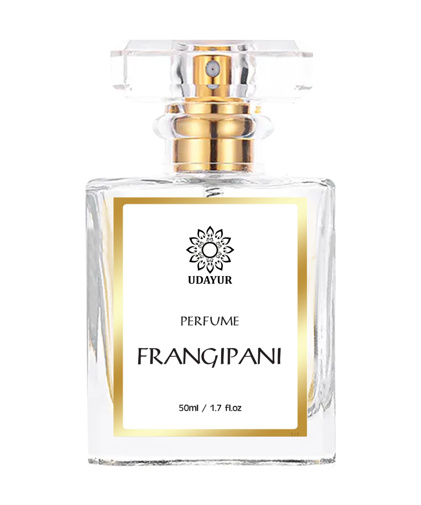 Frangipani Udayur Pvt Ltd frangipani-udayur-pvt-ltd